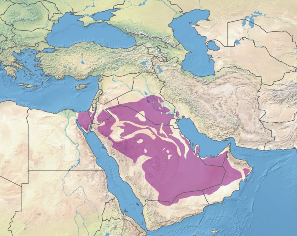 Map of the Arabian Desert